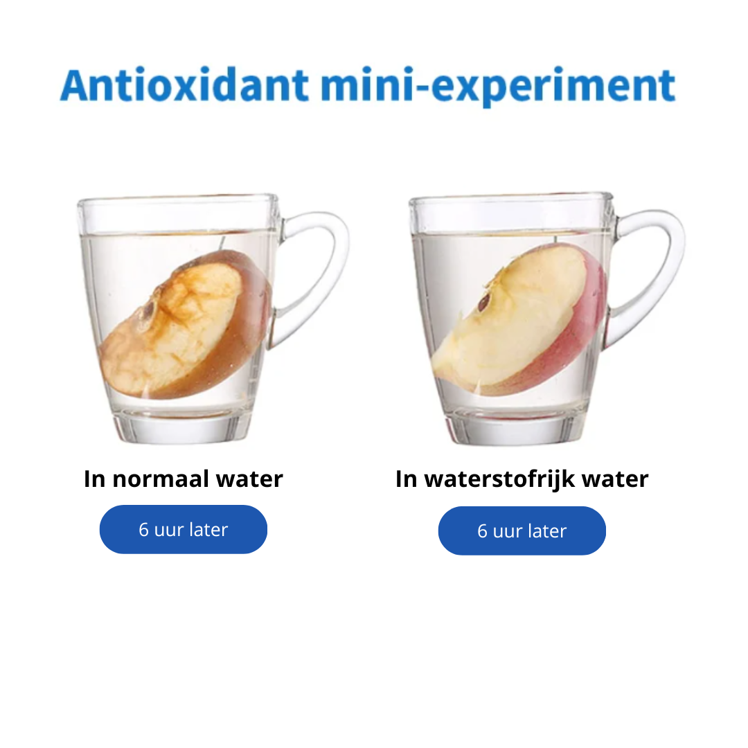 Hydro-Boost WaterFles™️